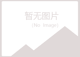 兴山区冰彤媒体有限公司